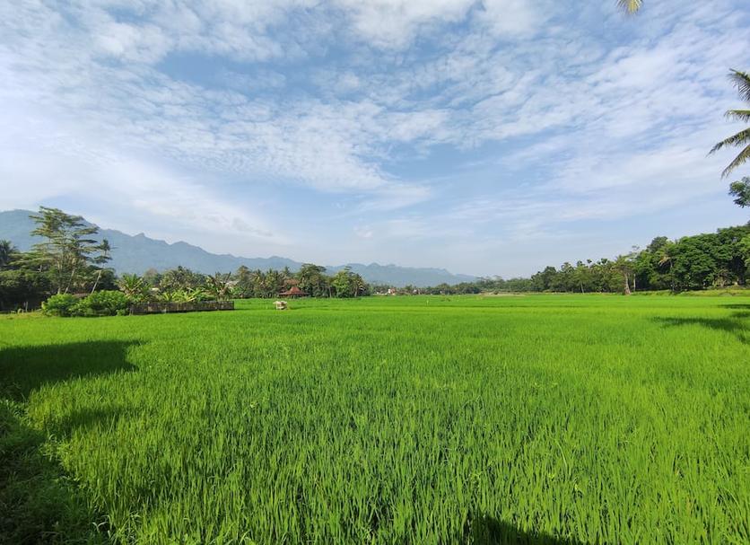 Outdoors view Photo