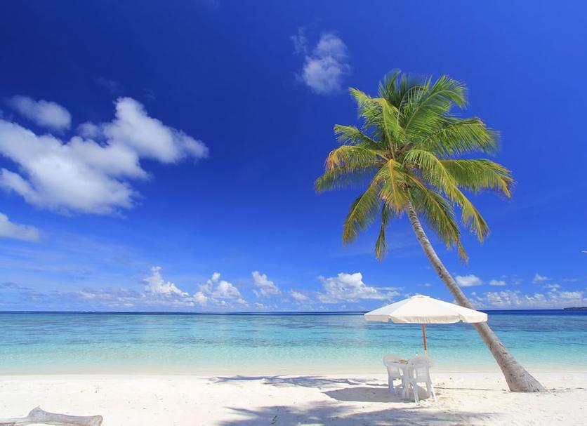Beach Photo