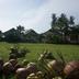 Outdoors view