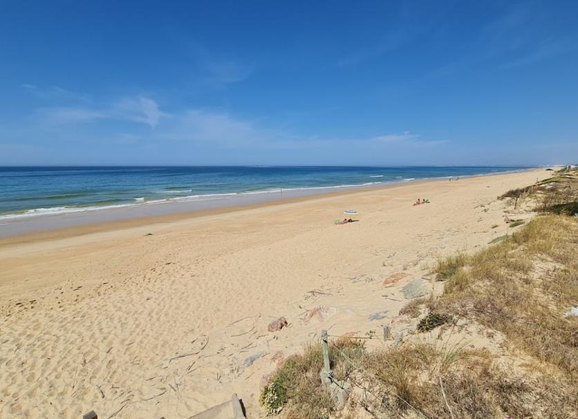 Beach Photo
