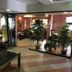 Flora Daisy Apartment in Borovets lobby with seating, glass coffee table, and indoor plants