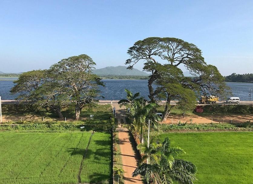 Outdoors view Photo