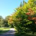 Outdoors view