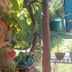 Outdoors view