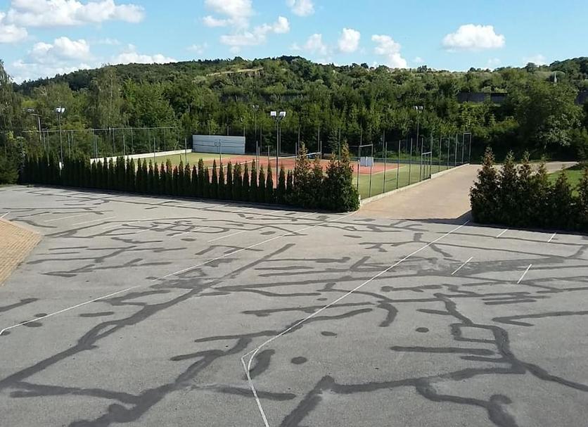 Other Photo