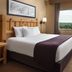 Great Wolf Lodge - Boston Fitchburg Ma guest room with king bed and forest view in Fitchburg