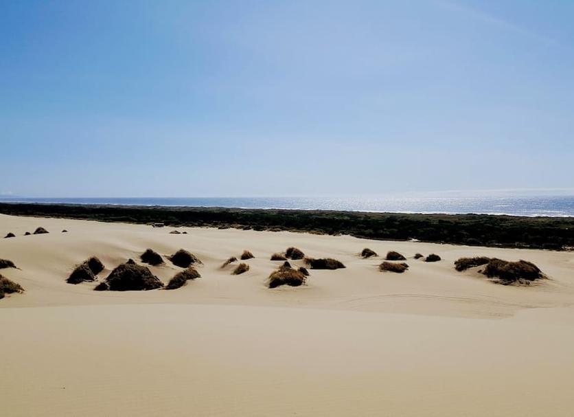 Beach Photo
