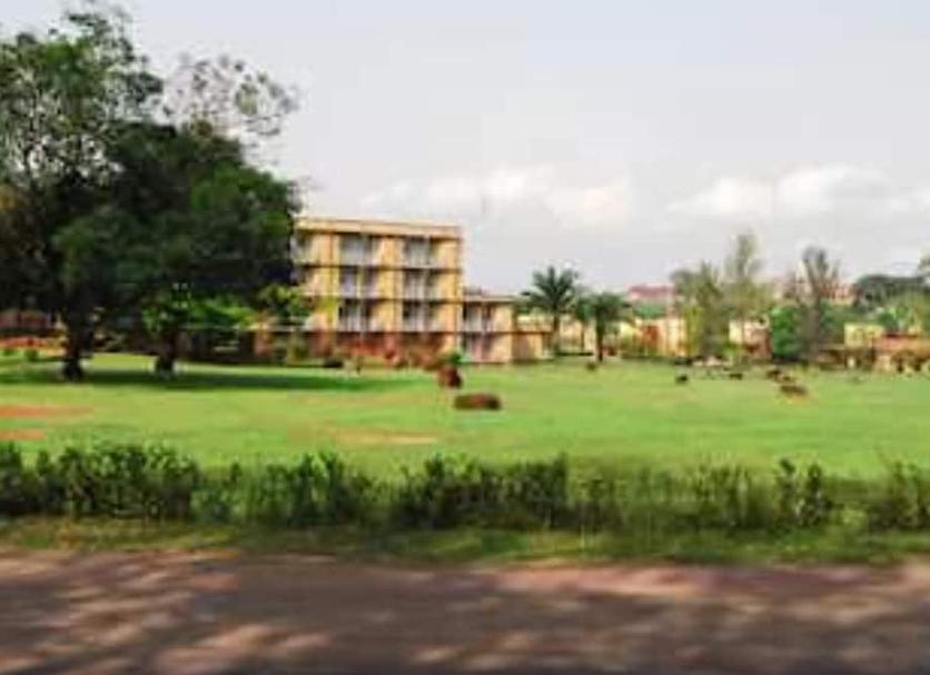 Outdoors view Photo