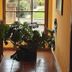 Hotel Marqués de la Moral hallway with potted plants and window view in Castrillón (Aviles)