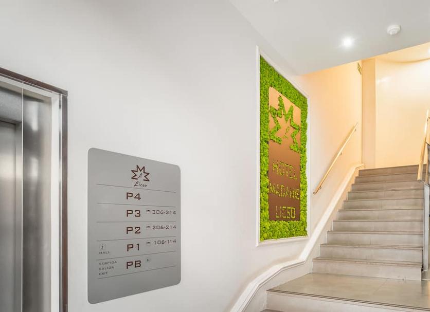 Stairs Photo