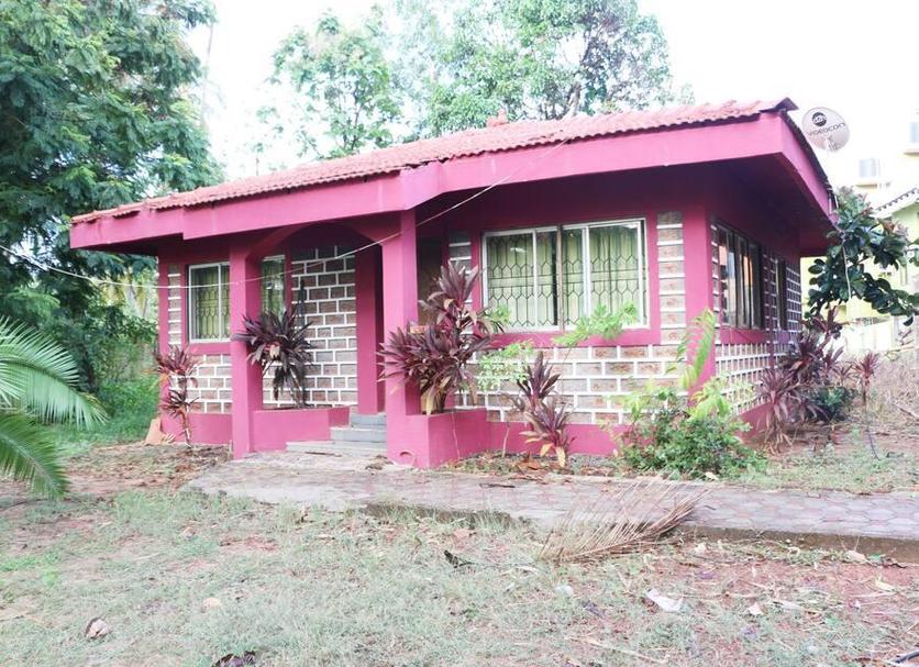 Other Photo
