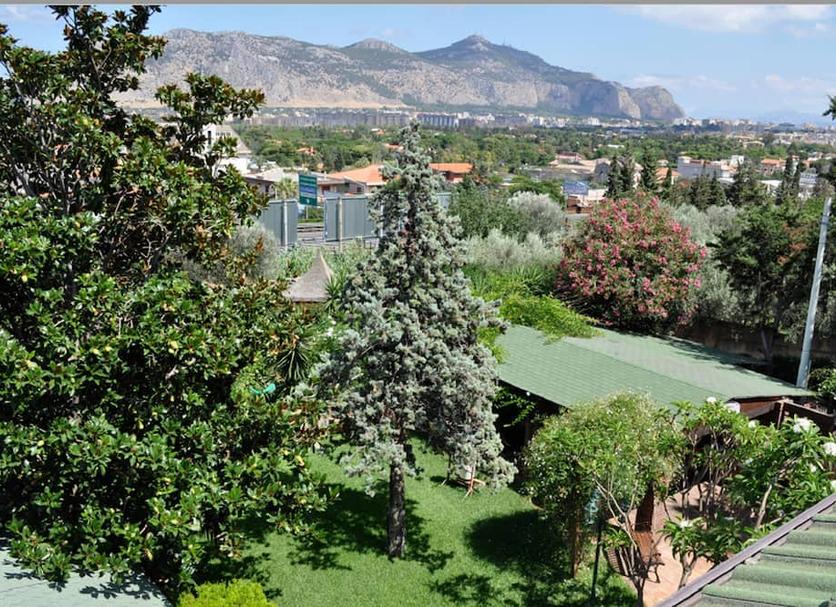 Outdoors view Photo