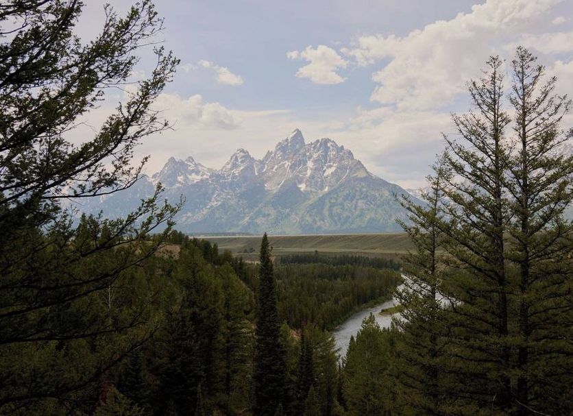 Other Photo