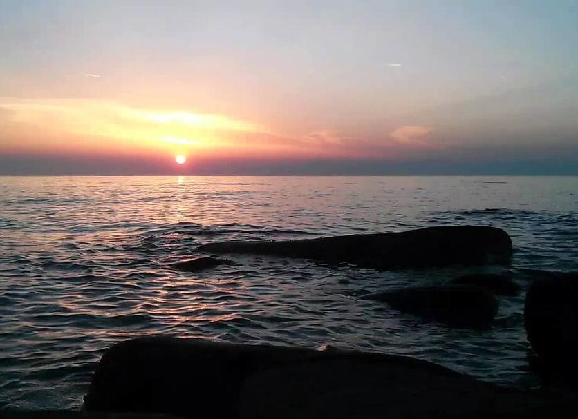 Other Photo