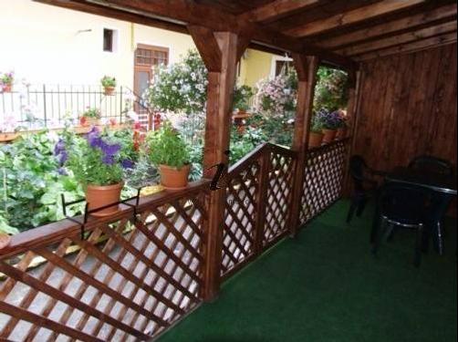 Villa Casa Ioana - Brasov - Patio