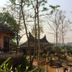 Mari Pai Resort in Pai with hillside bungalows, thatched roofs, and garden views
