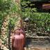 Outdoors view