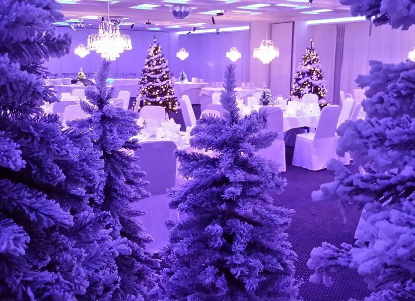 Banquet hall Photo