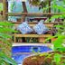 Pousada Villa Da Prainha in Ilhabela with a small blue-tiled pool surrounded by tropical greenery