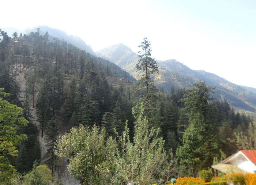 Outdoors view Photo