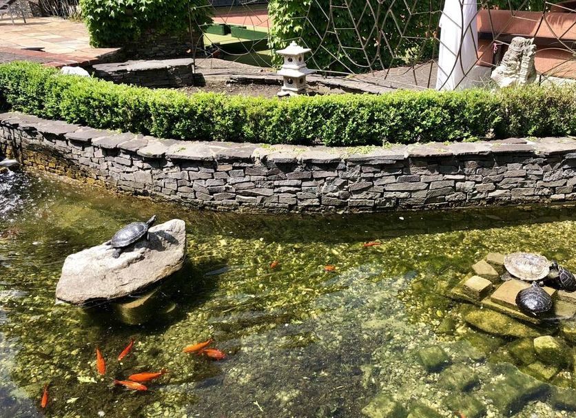 Therma Nea Dunajská Streda in Dunajská Streda, stone garden pond with turtle statues and koi fish