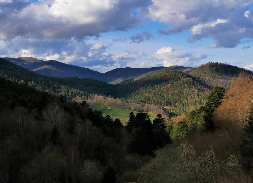 Outdoors view Photo