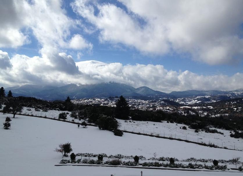 Outdoors view Photo