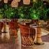 HOLLYWOOD VOLUME, a Tribute Portfolio Hotel in Los Angeles with woven pendant lights and lush indoor greenery