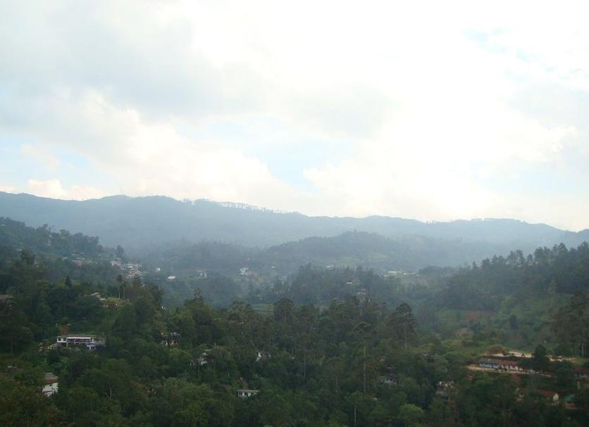 Outdoors view Photo