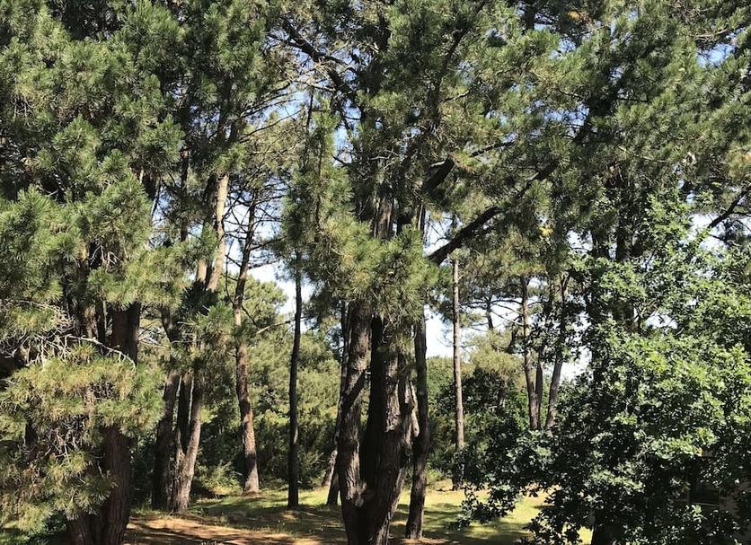 Outdoors view Photo