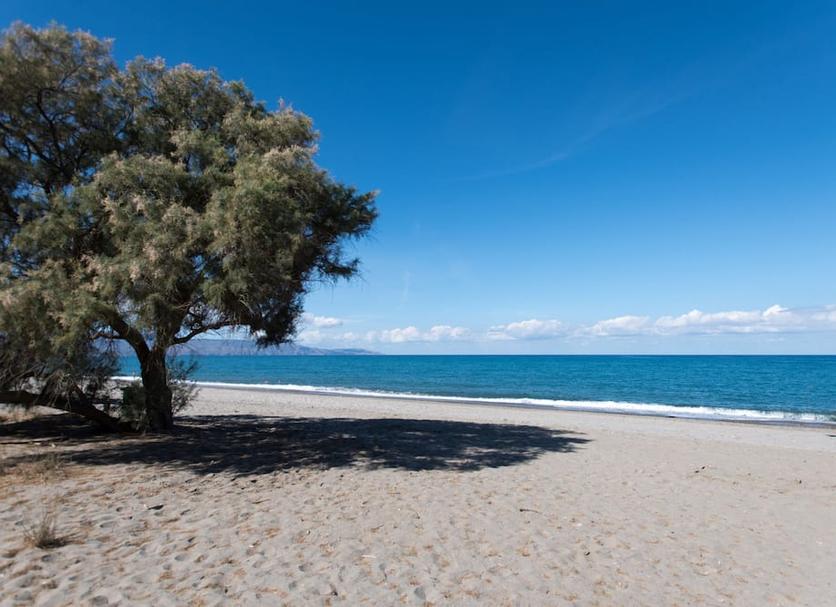 Beach Photo