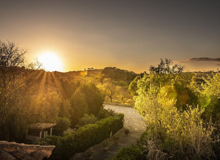 Outdoors view Photo