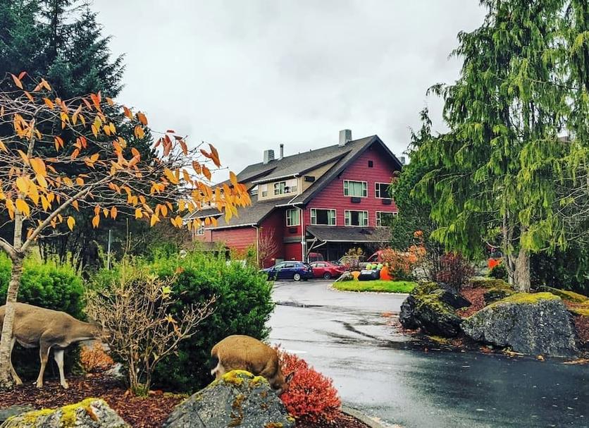 Outdoors view Photo