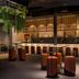 Secrets Baby Beach Aruba Adults Only bar and lounge in Sint Nicolaas with hanging greenery and orange stools