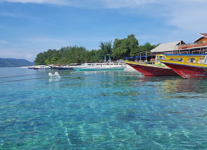 The Rabbit Tree Hostel in Pemenang, view of clear turquoise water and colorful boats by the shore