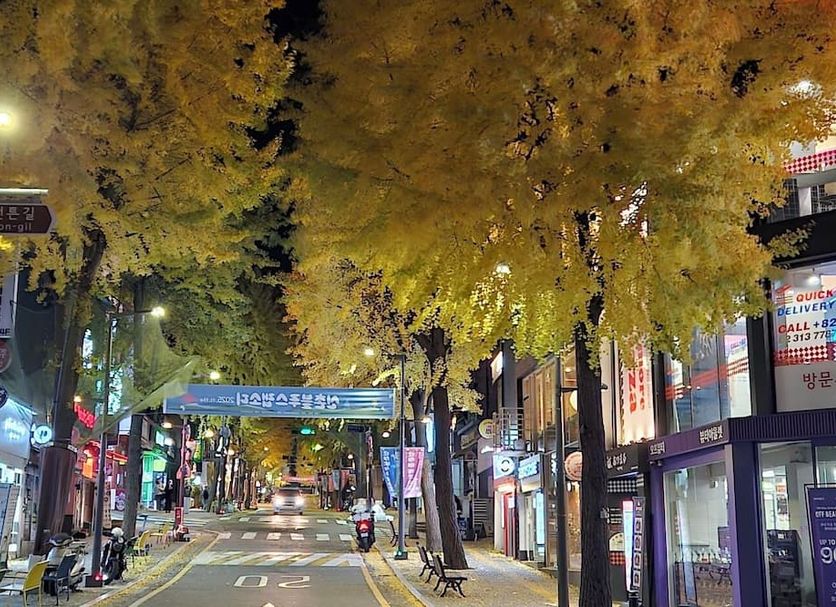 Philstay Ehwa Boutique - Female Only in Seoul, tree-lined street at night with lit shops
