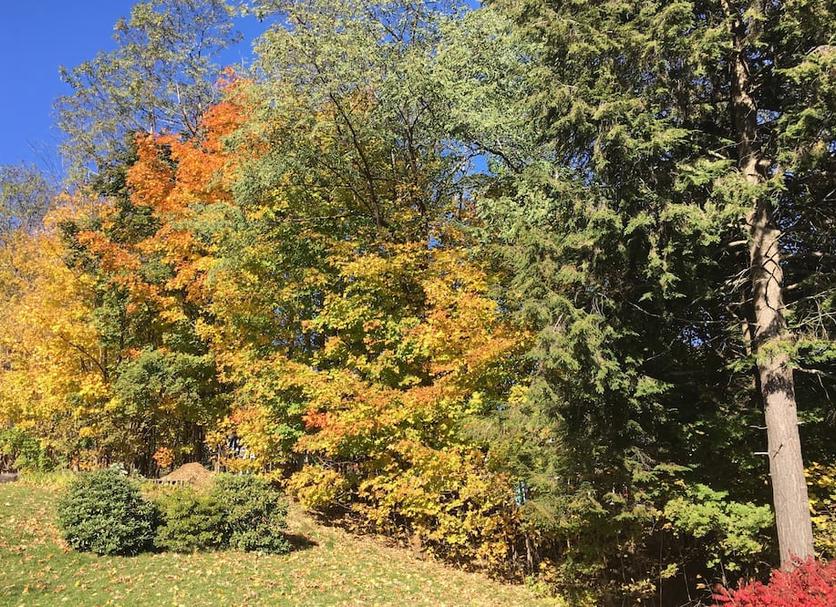 Outdoors view Photo