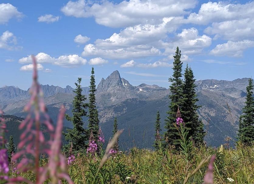 Outdoors view Photo