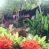 Outdoors view