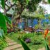 Casa Jardin Del Mango in San José garden courtyard with benches, stone path, and lush tropical plants