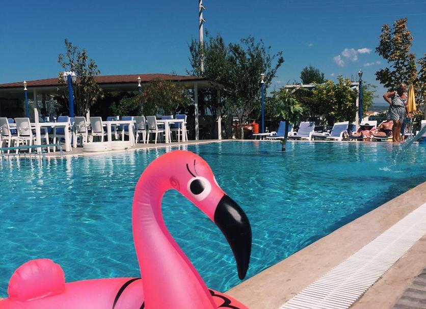 Pool Photo