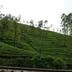 Outdoors view