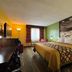 Super 8 by Wyndham Jacksonville room with king bed, desk, and waterfall wall art