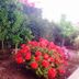 Outdoors view