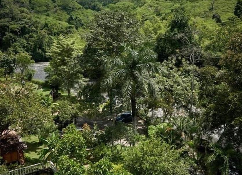 Outdoors view Photo