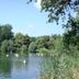 Hotel Stadt Mühlhausen in Mühlhausen overlooking a tranquil lake with swans and trees