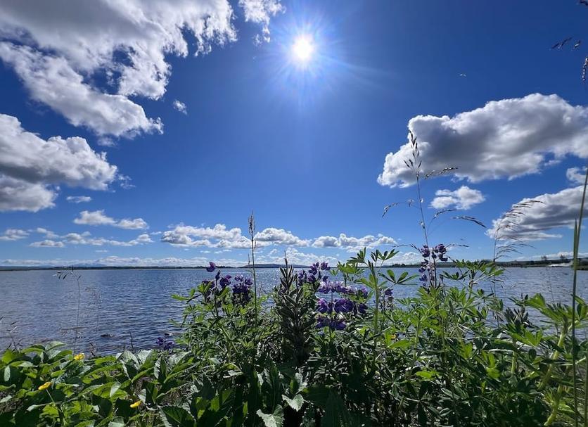 Outdoors view Photo