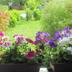 Outdoors view