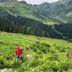 Families hiking in lush alpine meadows at Familienhotel Mateera Gargellen, Montafon