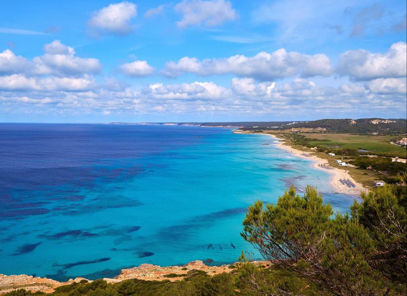Sol Milanos Pingüinos in Son Bou with panoramic turquoise sea and sandy beach view